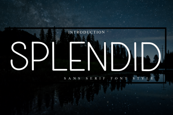 Splendid: The Sans Serif Font for Bold Branding